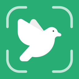 Bird Call Identifier logo